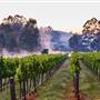 Millbrook Winery