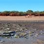 Broome - Crab Creek