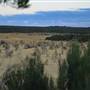 Pinnacles - Nambung National Park