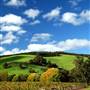 Nannup