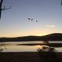 Collie River, Collie