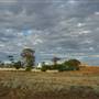Coolgardie Back streets