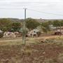 Gwalia Ghost Town