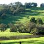 Nannup