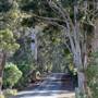 Denmark/Albany Forest Roads