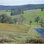 Ferguson Valley