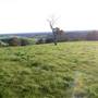 Nannup - Xmas Brook Farm