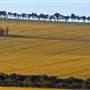 Chapman Valley