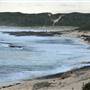 Margaret River - Prevelly