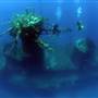 Abrolhos Islands  - Aerials