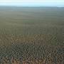 Shark Bay