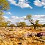 Canning Stock Route Midwest to the Kimberley