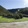 Shelley Beach & surrounds - West Cape Howe National Pk