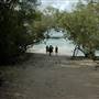 Broome - Roebuck Bay coast