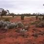 Goldfields Golf Club