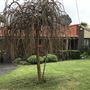 Thornlie Brick House