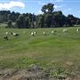 Drakesbrook Fine Wines Winery
