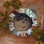 Goldfields - Esperance Region