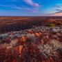 Goldfields - Esperance Region