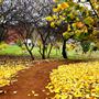 Little Hill Farm Bridgetown