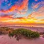 The Boronia