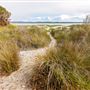 Herron Point, Birchmont