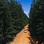 Dwellingup
