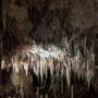 Mammoth Cave