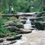 Araluen Botanic Park