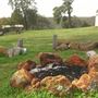 Moondyne Convention Centre - Grounds