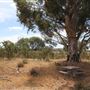 Darkan to Collie Rail Trail