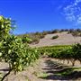 The Orchard Perth Pty Ltd