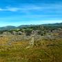 Craigendarroch, Porongurup