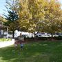 Guppy Park