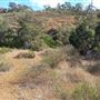 Lesmurdie Falls