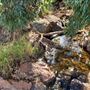Lesmurdie Falls