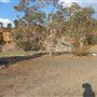 Statham's Quarry