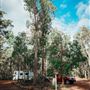 Dwellingup