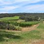 Bickley-Carmel Valley
