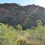 Shothole Canyon