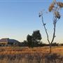 Great Southern Rail -  Indian Pacific Train