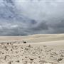 Lancelin