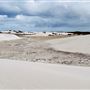 Green Head Sand Dunes
