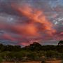 Goldfields - Esperance Region
