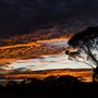 Goldfields - Esperance Region