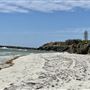 The Cove
