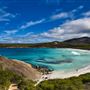 Thistle Cove