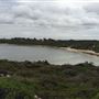Dynamite Bay