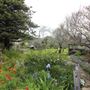 Albany - Strawberry Hill Farm