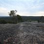 John Forrest National Park